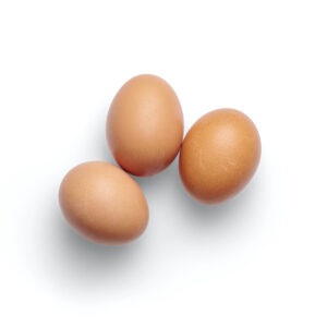 （サンプル商品）Farm Fresh Eggs